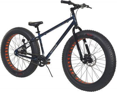 best fat bike under 1000