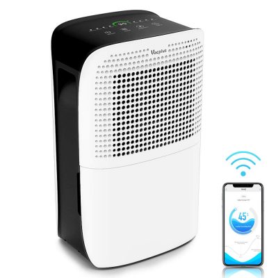 quality dehumidifier for basement