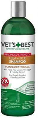 best flea shampoo for dogs and cats