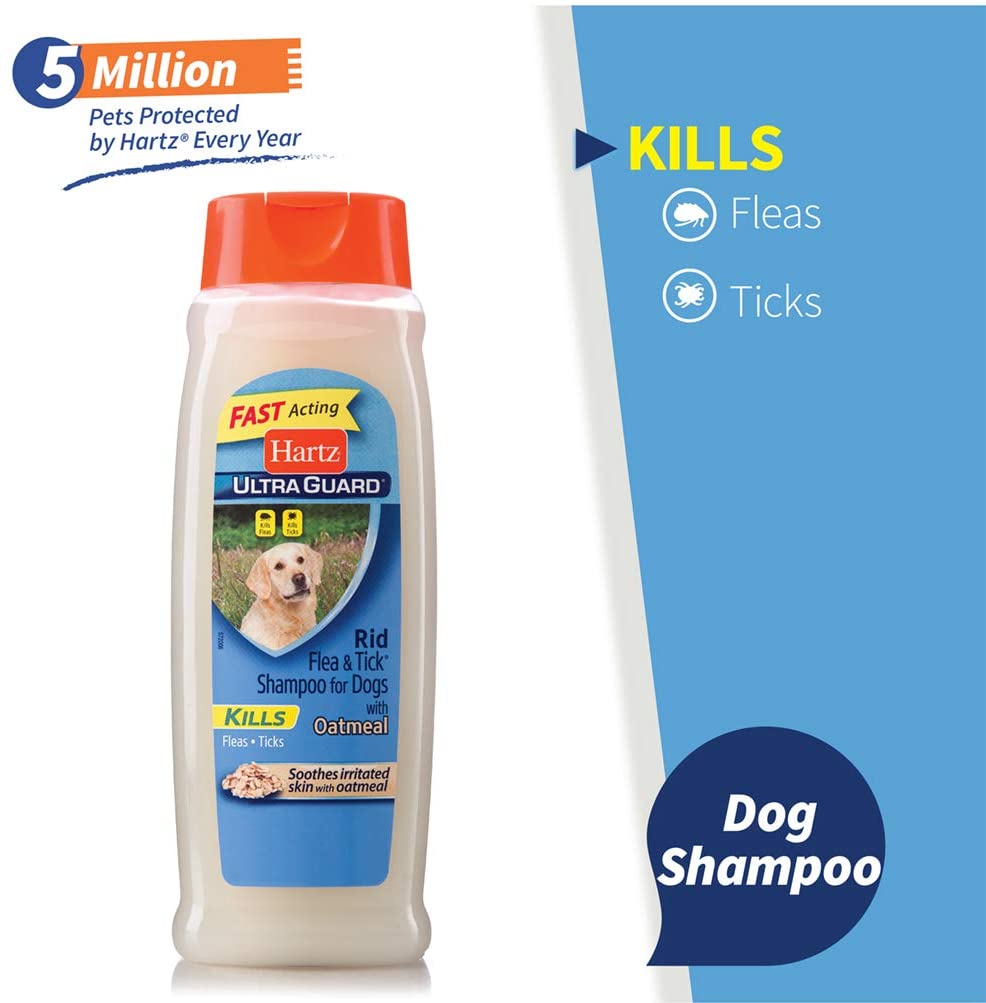 best dog shampoo for fleas and itchy skin