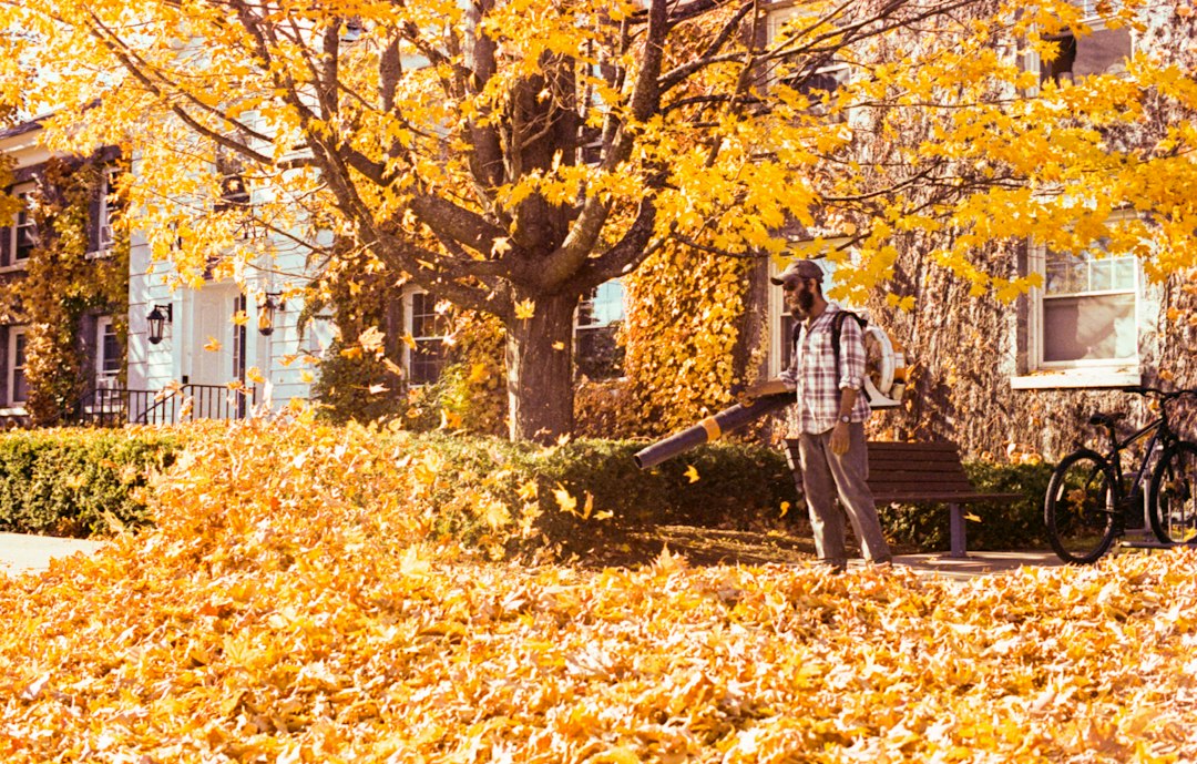 Person using a leaf blower among autumn leaves for fall yard cleanup