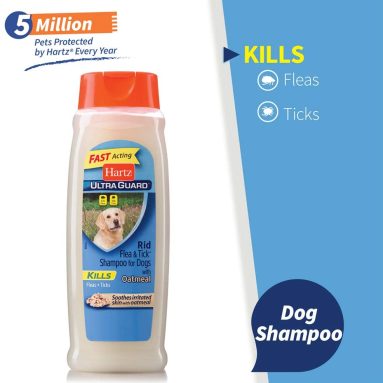 Best Shampoo For Dogs With Fleas