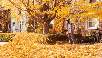 Best Cordless Leaf Blowers for Fall Cleanup, Small Yards and Heavy Leaves