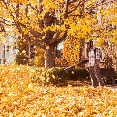 Best Cordless Leaf Blowers for Fall Cleanup, Small Yards and Heavy Leaves