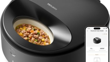 Automatic Cat Feeders for Busy Households: Cameras, Wet Food and Multi-Cat Needs