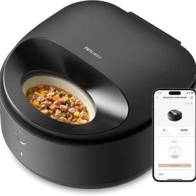 Automatic Cat Feeders for Busy Households: Cameras, Wet Food and Multi-Cat Needs