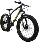 Best Fat Bikes Under $1000