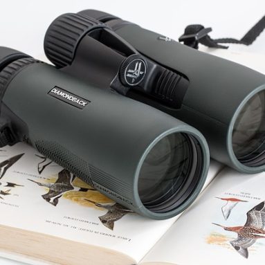 Best Budget Binoculars For Birding