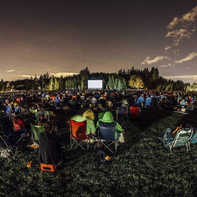 Best Projectors for Daylight Viewing and Buying Guide